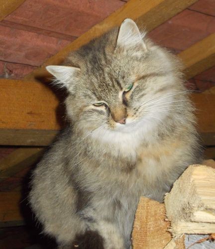 dscn3205.jpg