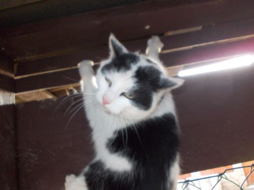 dscn3679.jpg