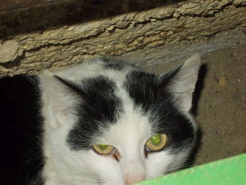 dscn3681.jpg